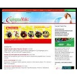 Отзывы людей о advertamax.ru