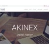 akinex.ru