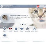 Отзывы людей о bfba.ru