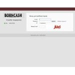 Отзывы людей о borncash.com