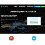 Отзывы людей о nextpay.ru