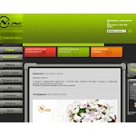 Отзывы людей о nline.net.ua