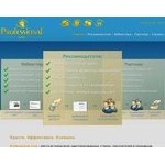 Отзывы людей о profi-link.org