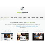 Отзывы людей о raccoonthemes.com