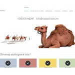 Отзывы людей о samasharm.ru