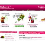 Отзывы людей о siteberry.ru