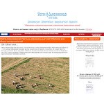 Отзывы людей о svalep.ru