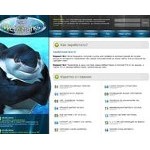 Отзывы людей о websharks.ru
