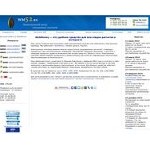 Отзывы людей о wm52.ru